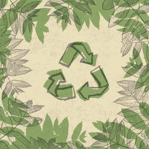 eco-print